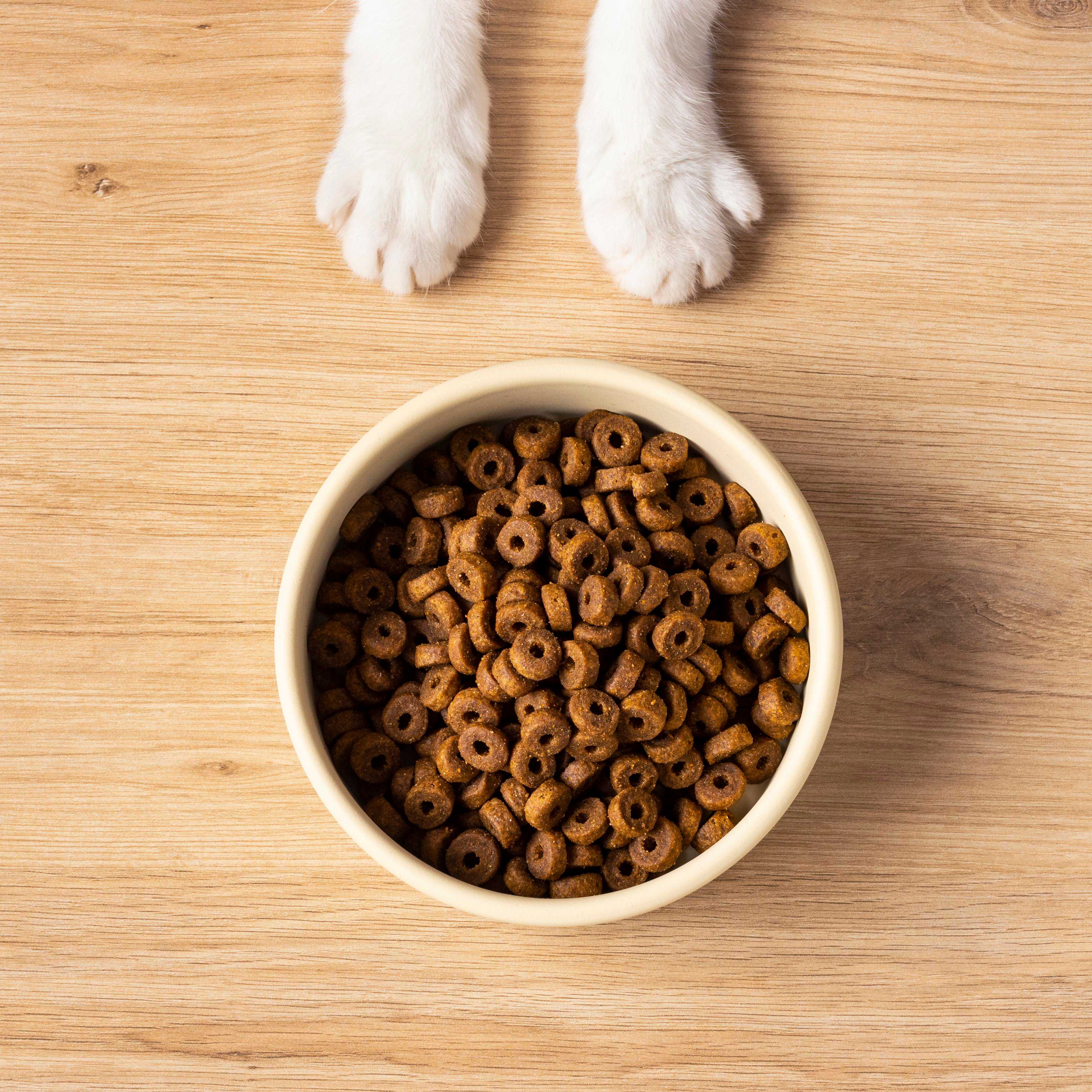 Nutrição Animal Landing Image